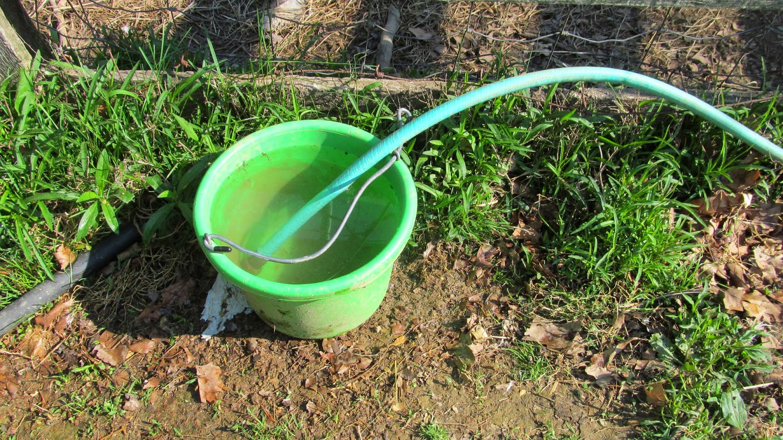 hose in bucket